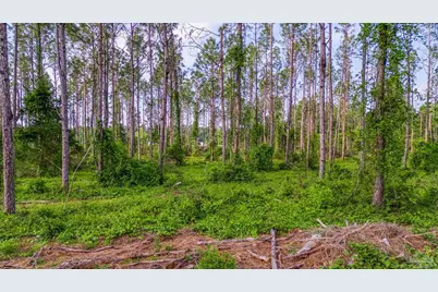 0005 Martin Rd, Milton, FL 32570 - Photo 6