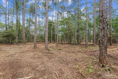 0 Bay Meadows Dr, Milton, FL 32583 - Photo 10