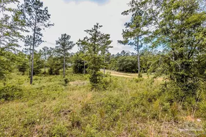 7435 Tidwell Rd, Pace, FL 32571 - Photo 2