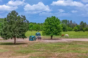 5399 Short Trail, Milton, FL 32583 - Photo 16