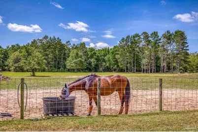 5399 Short Trl, Milton, FL 32583 - Photo 66