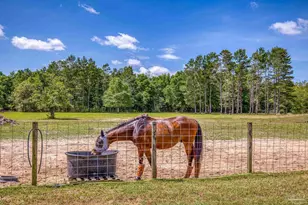 5399 Short Trail, Milton, FL 32583 - Photo 66