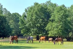 5399 Short Trail, Milton, FL 32583 - Photo 14