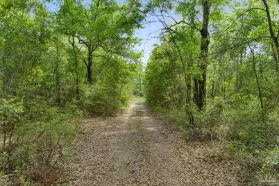 Lot 12 Peaceful Ln, Milton, FL 32570 - Photo 14