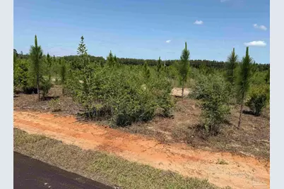 Lot 57 South Timber Ln, Pace, FL 32571 - Photo 16