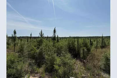 Lot 57 South Timber Ln, Jay, FL 32565 - Photo 32