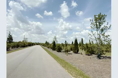 Lot 57 South Timber Ln, Jay, FL 32565 - Photo 6