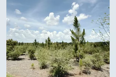 Lot 57 South Timber Ln, Jay, FL 32565 - Photo 8