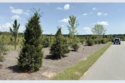 Lot 57 South Timber Ln, Jay, FL 32565 - Photo 12