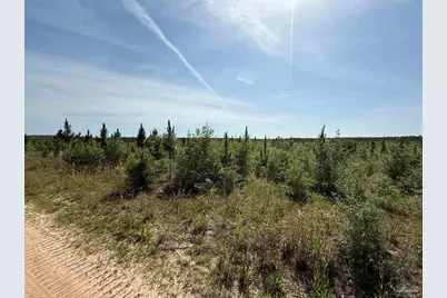 Lot 57 South Timber Ln, Jay, FL 32565 - Photo 28