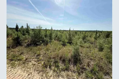 Lot 57 South Timber Ln, Jay, FL 32565 - Photo 30