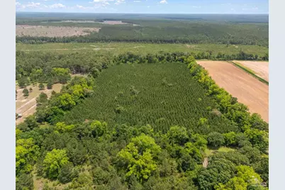 0000 Lewis Rd, Milton, FL 32570 - Photo 14