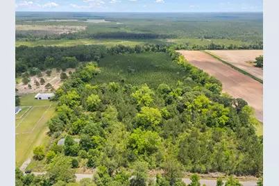 0000 Lewis Rd, Milton, FL 32570 - Photo 6