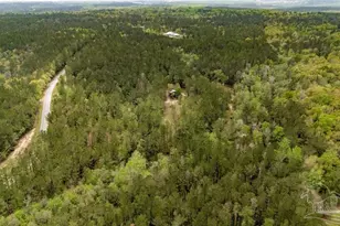 4660 Morristown Rd, Jay, FL 32565 - Photo 8