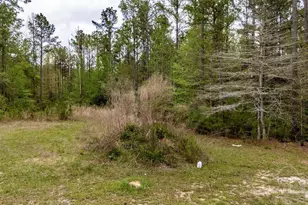 4660 Morristown Rd, Jay, FL 32565 - Photo 38