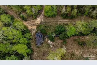 4660 Morristown Rd, Jay, FL 32565 - Photo 30