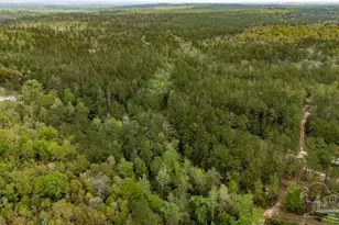 4660 Morristown Rd, Jay, FL 32565 - Photo 26