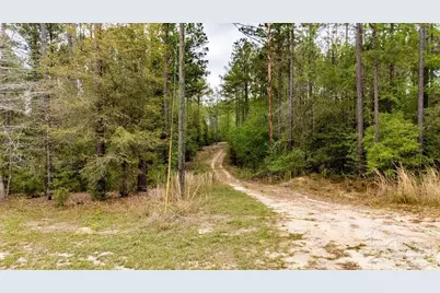 4660 Morristown Rd, Jay, FL 32565 - Photo 4