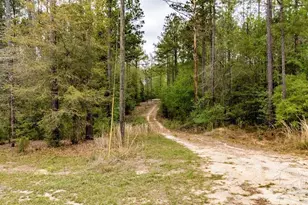 4660 Morristown Rd, Jay, FL 32565 - Photo 4