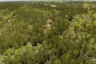 4660 Morristown Rd, Jay, FL 32565 - Photo 40