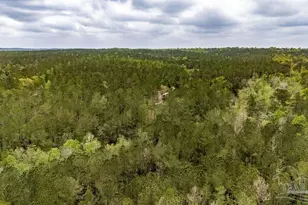 4660 Morristown Rd, Jay, FL 32565 - Photo 20