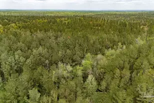 4660 Morristown Rd, Jay, FL 32565 - Photo 50