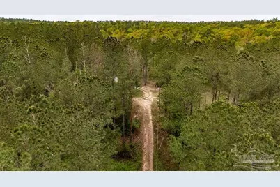 4660 Morristown Rd, Jay, FL 32565 - Photo 16