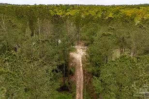 4660 Morristown Rd, Jay, FL 32565 - Photo 16