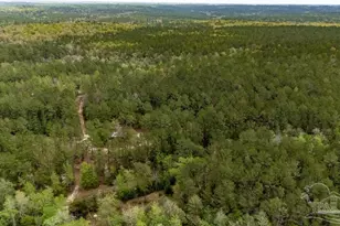 4660 Morristown Rd, Jay, FL 32565 - Photo 42