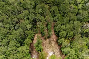 4660 Morristown Rd, Jay, FL 32565 - Photo 22