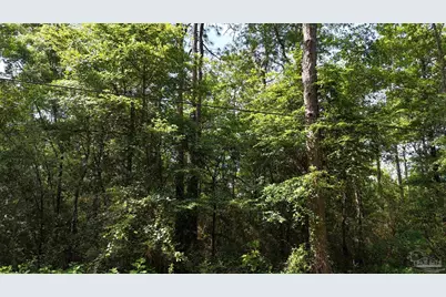Lot 8 Forestbrook Dr, Milton, FL 32583 - Photo 4