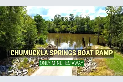 Lot 49 Mineral Springs Rd, Jay, FL 32565 - Photo 22