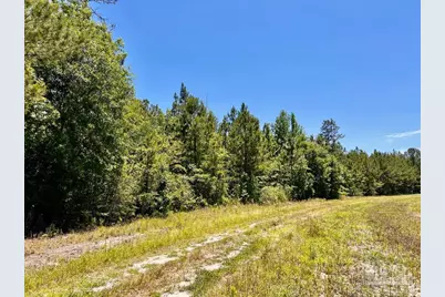 Lot 49 Mineral Springs Rd, Jay, FL 32565 - Photo 12