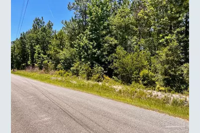 Lot 49 Mineral Springs Rd, Jay, FL 32565 - Photo 6