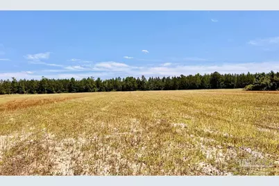 Lot 49 Mineral Springs Rd, Jay, FL 32565 - Photo 20