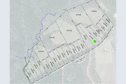 Lot 49 Mineral Springs Rd, Jay, FL 32565 - Photo 2