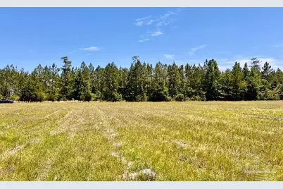 Lot 50 Mineral Springs Rd, Jay, FL 32565 - Photo 20