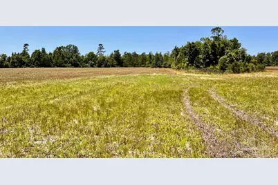 Lot 50 Mineral Springs Rd, Jay, FL 32565 - Photo 18