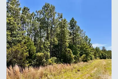 Lot 50 Mineral Springs Rd, Jay, FL 32565 - Photo 12