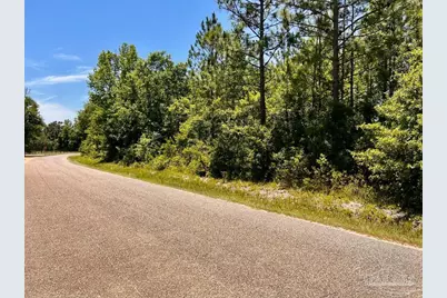 Lot 50 Mineral Springs Rd, Jay, FL 32565 - Photo 10