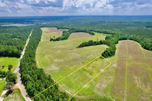 Lot 51 Mineral Springs Rd, Jay, FL 32565 - Photo 1