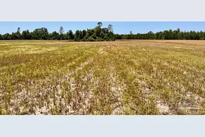 Lot 51 Mineral Springs Rd, Jay, FL 32565 - Photo 12