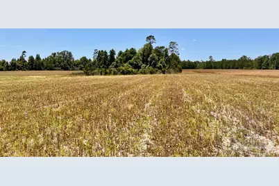 Lot 51 Mineral Springs Rd, Jay, FL 32565 - Photo 14