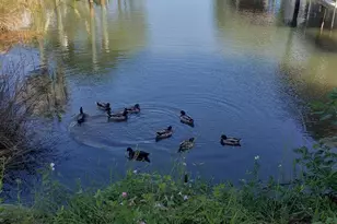 3262 Duke Dr, Gulf Breeze, FL 32563 - Photo 1