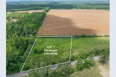 Lot 1 Sid Hayes Rd, Jay, FL 32565 - Photo 2