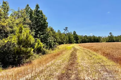 Lot 56 Mineral Springs Rd, Jay, FL 32565 - Photo 6