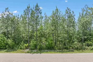 Lot 52 Mineral Springs Rd, Jay, FL 32565 - Photo 1