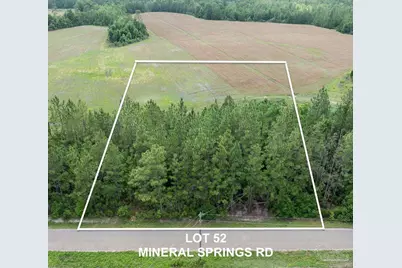 Lot 52 Mineral Springs Rd, Jay, FL 32565 - Photo 2
