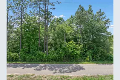 Lot 53 Mineral Springs Rd, Jay, FL 32565 - Photo 1