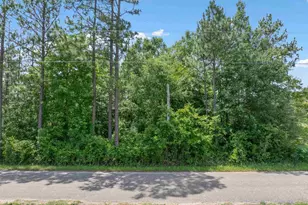 Lot 53 Mineral Springs Rd, Jay, FL 32565 - Photo 1
